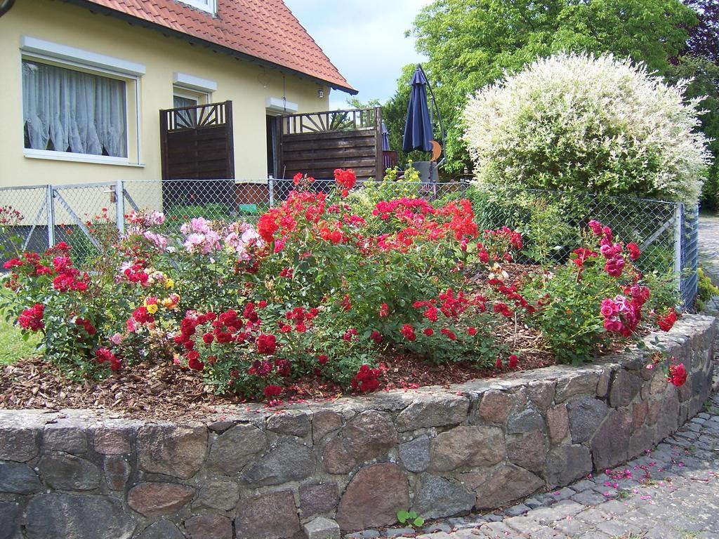 Hotel Haus Am Roseneck Lüneburg Esterno foto